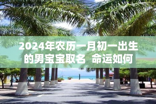 2025年农历一月初一出生的男宝宝取名  命运如何