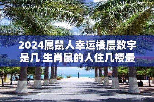 2025属鼠人幸运楼层数字是几 生肖鼠的人住几楼最吉利 2025属鼠人幸运楼层数字是几 生肖鼠的人住几楼最吉利