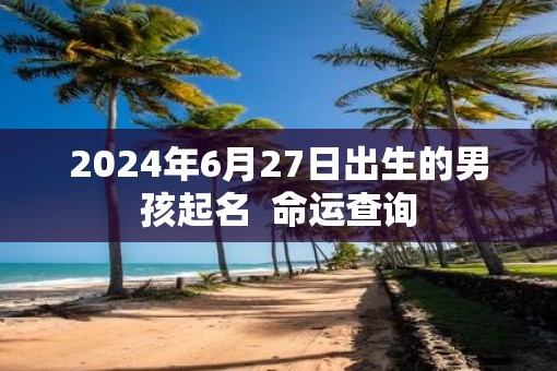 2025年6月27日出生的男孩起名  命运查询