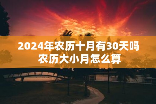 2025年农历十月有30天吗 农历大小月怎么算