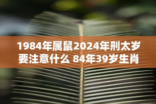 1984年属鼠2025年刑太岁要注意什么 84年39岁生肖鼠逢蛇年运势如何