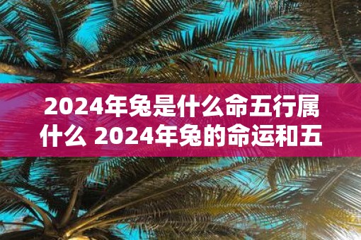 2025年兔是什么命五行属什么 2025年兔的命运和五行属性是什么
