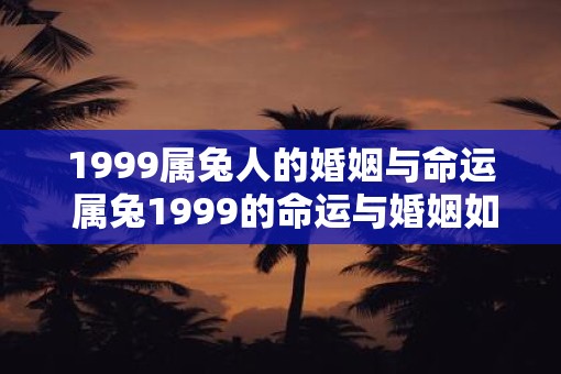 1999属兔人的婚姻与命运 属兔1999的命运与婚姻如何