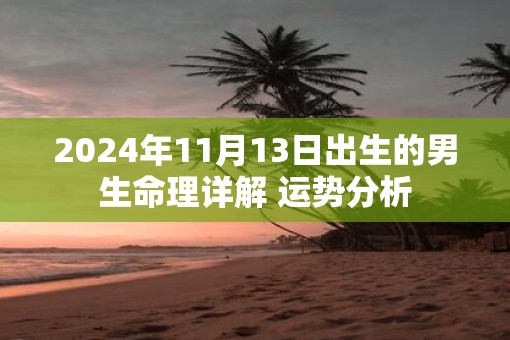 2025年11月13日出生的男生命理详解 运势分析