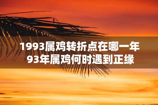 1993属鸡转折点在哪一年 93年属鸡何时遇到正缘