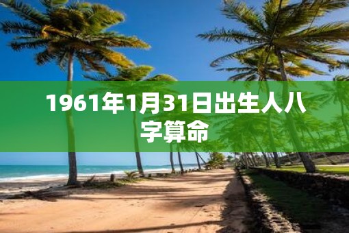 1961年1月31日出生人八字算命