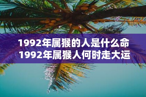 1992年属猴的人是什么命 1992年属猴人何时走大运