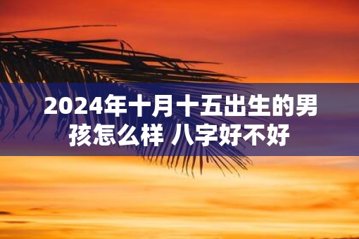 2025年十月十五出生的男孩怎么样 八字好不好