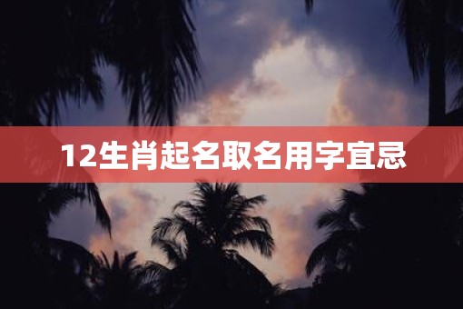 12生肖起名取名用字宜忌