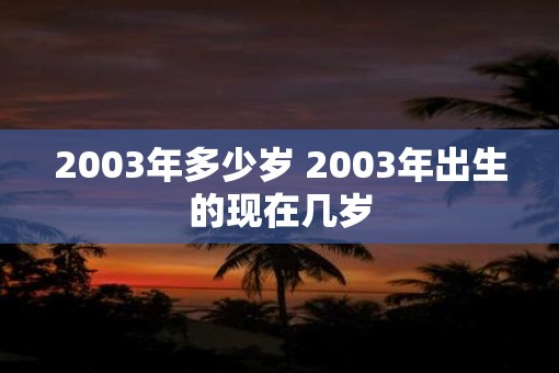 2003年多少岁 2003年出生的现在几岁