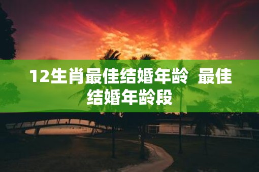 12生肖最佳结婚年龄  最佳结婚年龄段