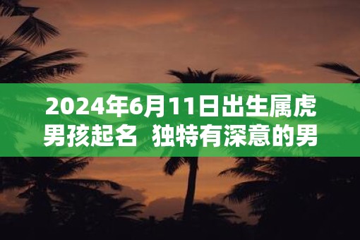 2025年6月11日出生属虎男孩起名  独特有深意的男孩名字