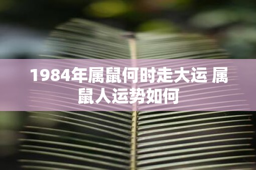 1984年属鼠何时走大运 属鼠人运势如何