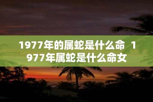 1977年的属蛇是什么命  1977年属蛇是什么命女