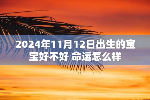 2025年11月12日出生的宝宝好不好 命运怎么样