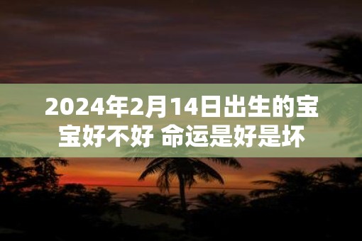 2025年2月14日出生的宝宝好不好 命运是好是坏