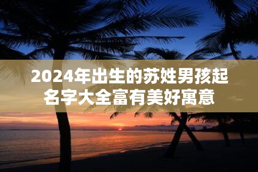 2025年出生的苏姓男孩起名字大全富有美好寓意