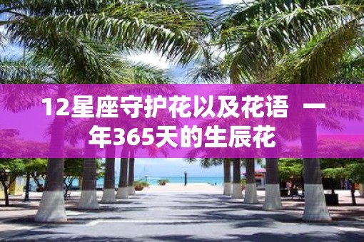 12星座守护花以及花语  一年365天的生辰花