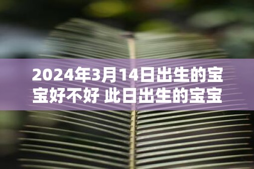 2025年3月14日出生的宝宝好不好 此日出生的宝宝性格