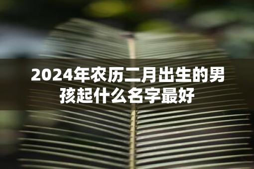 2025年农历二月出生的男孩起什么名字最好