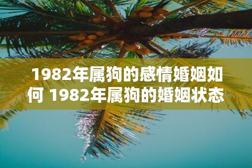 1982年属狗的感情婚姻如何 1982年属狗的婚姻状态如何