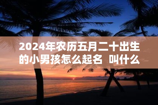 2025年农历五月二十出生的小男孩怎么起名  叫什么好