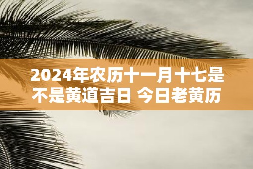 2025年农历十一月十七是不是黄道吉日 今日老黄历如何