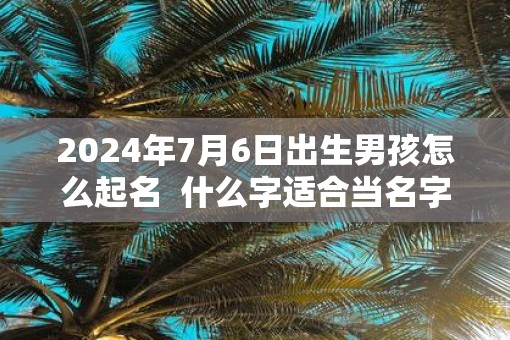 2025年7月6日出生男孩怎么起名  什么字适合当名字