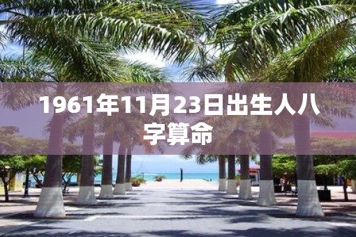 1961年11月23日出生人八字算命