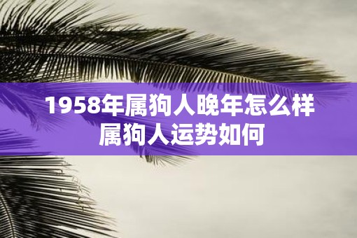 1958年属狗人晚年怎么样 属狗人运势如何 1958年属狗人晚年怎么样 属狗人运势如何