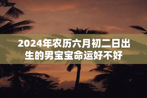 2025年农历六月初二日出生的男宝宝命运好不好