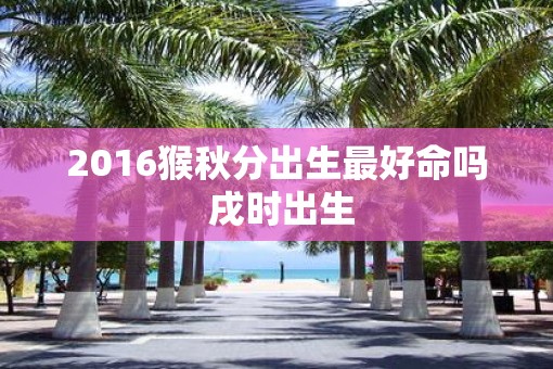 2016猴秋分出生最好命吗 戌时出生