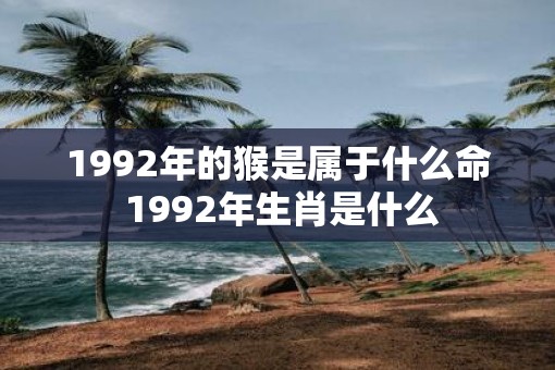 1992年的猴是属于什么命 1992年生肖是什么