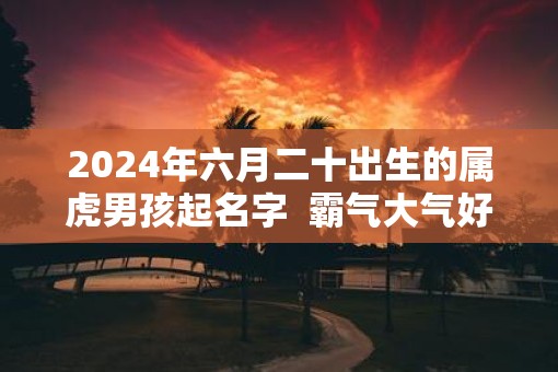 2025年六月二十出生的属虎男孩起名字  霸气大气好听