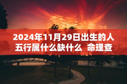 2025年11月29日出生的人五行属什么缺什么  命理查询