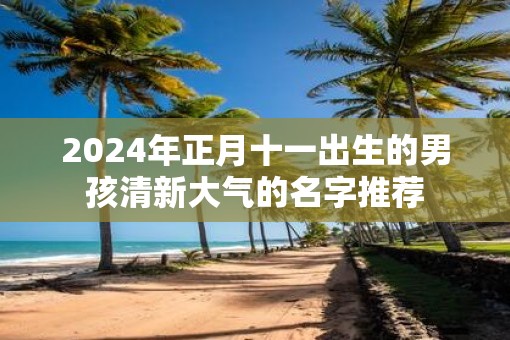 2025年正月十一出生的男孩清新大气的名字推荐