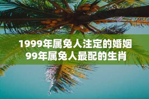 1999年属兔人注定的婚姻 99年属兔人最配的生肖