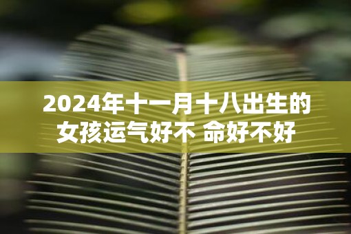 2025年十一月十八出生的女孩运气好不 命好不好