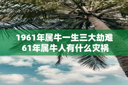 1961年属牛一生三大劫难 61年属牛人有什么灾祸