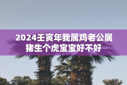 2025壬寅年我属鸡老公属猪生个虎宝宝好不好