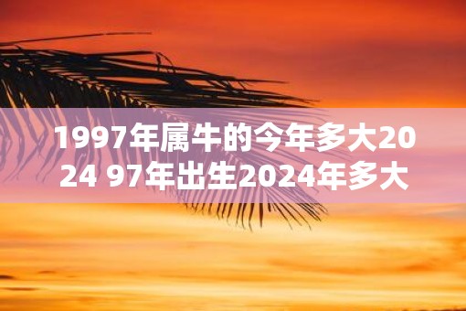 1997年属牛的今年多大2025 97年出生2025年多大年龄