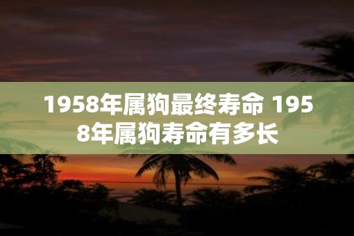 1958年属狗最终寿命 1958年属狗寿命有多长