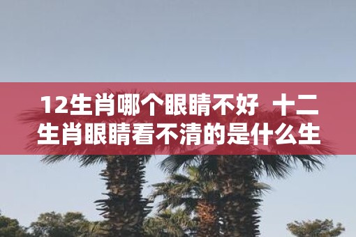 12生肖哪个眼睛不好  十二生肖眼睛看不清的是什么生肖