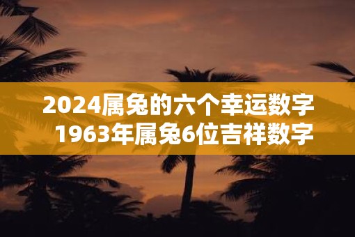2025属兔的六个幸运数字  1963年属兔6位吉祥数字