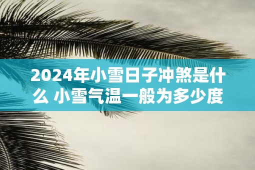 2025年小雪日子冲煞是什么 小雪气温一般为多少度