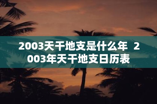2003天干地支是什么年  2003年天干地支日历表