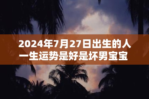 2025年7月27日出生的人一生运势是好是坏男宝宝  五行运势详解