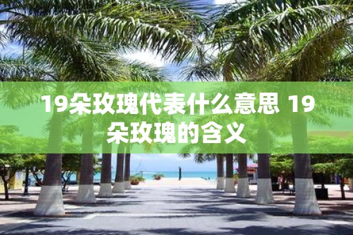 19朵玫瑰代表什么意思 19朵玫瑰的含义
