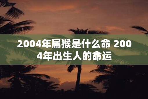 2004年属猴是什么命 2004年出生人的命运