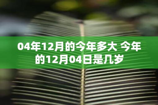 04年12月的今年多大 今年的12月04日是几岁 04年12月的今年多大 今年的12月04日是几岁